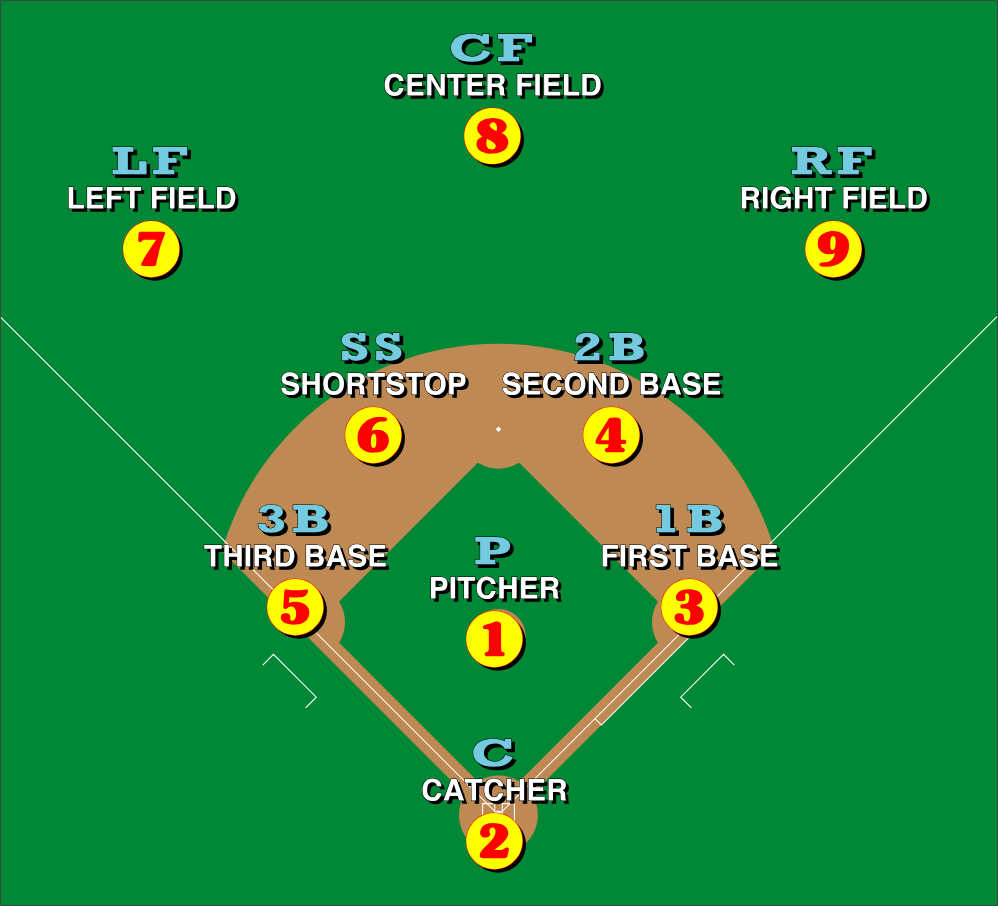 What are position numbers in baseball
